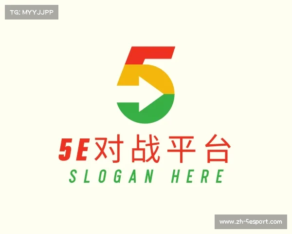 了解5e对战平台